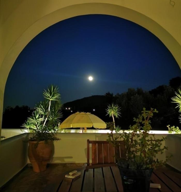 Villa Almyra Aegina エクステリア 写真